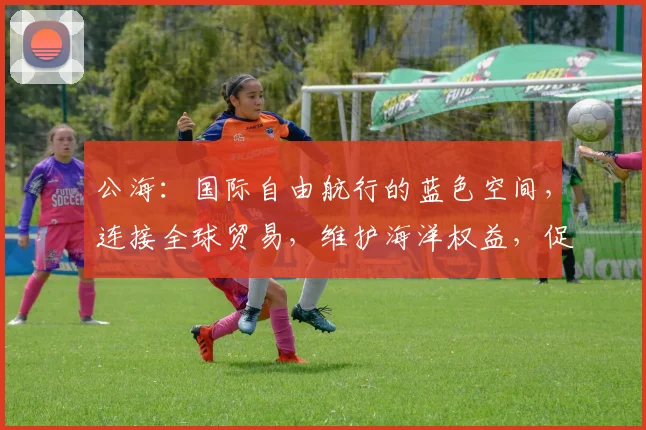 公海：国际自由航行的蓝色空间，连接全球贸易，维护海洋权益，促进和平发展，三重作用，不容忽视。